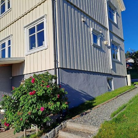 Warm And Cozy Apartment With Panoramic View Above The City Center Tromso Luaran gambar